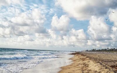 Romantic Date Ideas in Delray Beach: A Guide to Love and Adventure